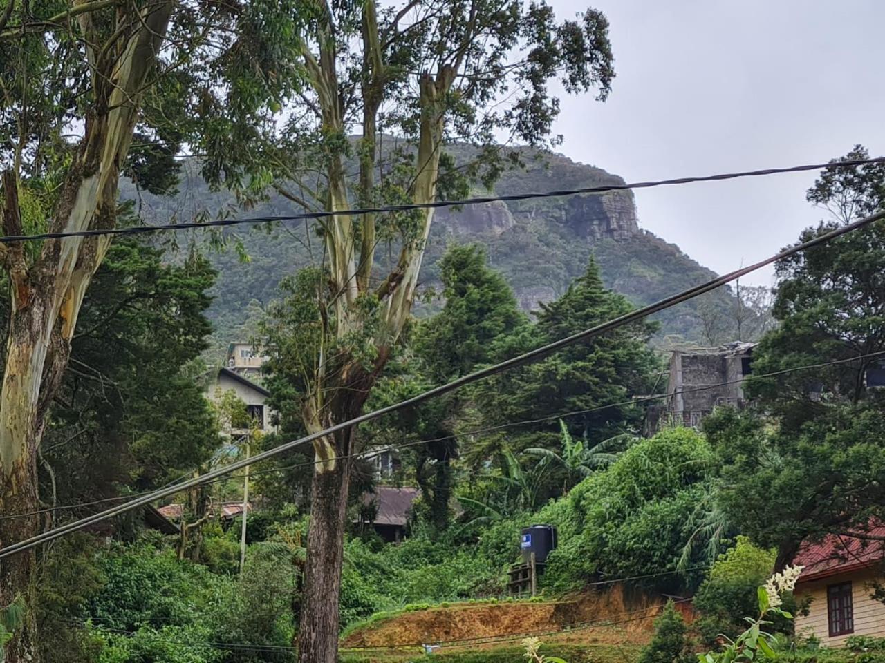 Sasru Holiday Home Nuwara Eliya Zewnętrze zdjęcie